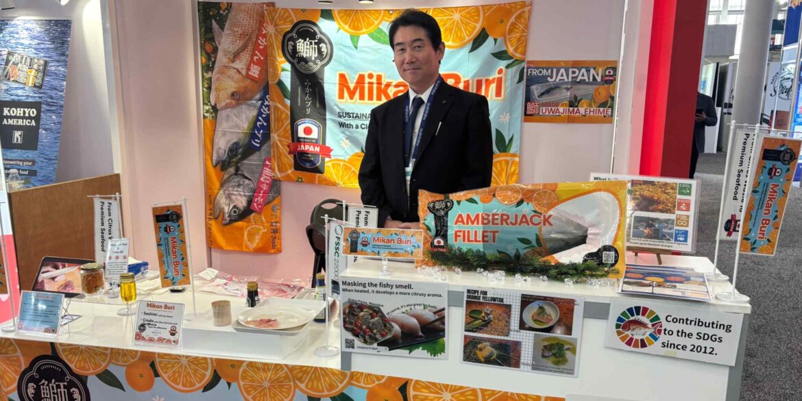 Ikan Bream dan Yellowtail Jepang Kini Populer di Amerika Utara